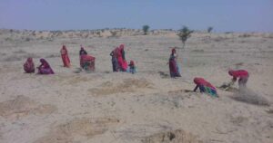Thar-Desert