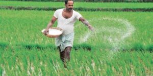farmer-fertilizer