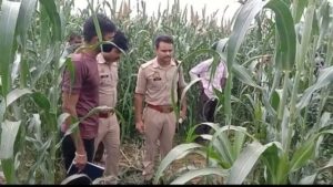 Missing for 10 days, dead body of an old man was found in a farm in Agra