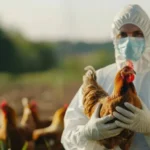 आगरा: H5N1 Bird Flu की रोकथाम पर कार्यशाला, जिलाधिकारी ने दिए सख्त दिशा-निर्देश